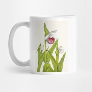 Showy lady's slippers - Botanical Illustration Mug